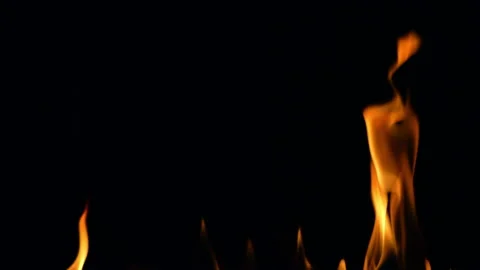 Fire flame glowing burn on black background Stock Footage 220637168
