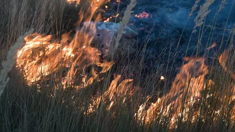 Fire flame grass mountain nature 012 Video stock 345425115