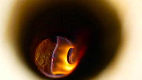 Fire flame inside the log Stock Footage 81756540