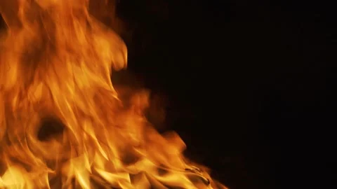 Fire flame isolate on black background. Burn abstract flames. Devil flame, hell Stock Footage 168650646