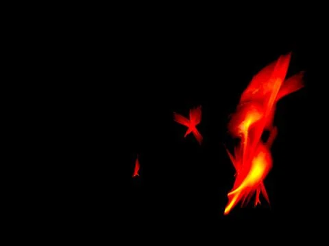 Fire flame isolate on black background with copy space. Stock Photos
