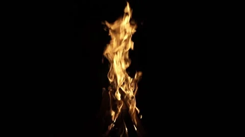 Fire flame isolated black isolated background Beautiful yellow, orange. Flame Stock Footage 200238399
