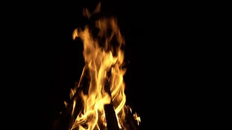 Fire flame isolated black isolated background Beautiful yellow, orange. Flame Stock Footage 200692642