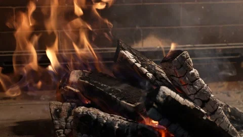 Fire flame in motion. Braizer. Many wood charcoal. Paralax shot. 4K. Family 스톡 동영상 166446576