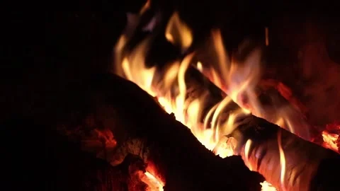 Fire flame in the night Stock Footage 169526194