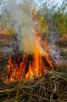 Fire flame Stock Photos
