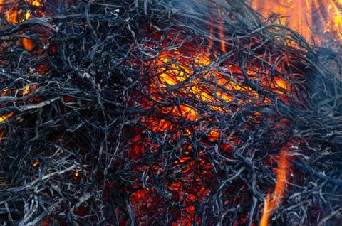 Fire flame Stock Photos