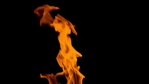 Fire flame slow motion burning on black backgroud screen  Stock Footage 243141629
