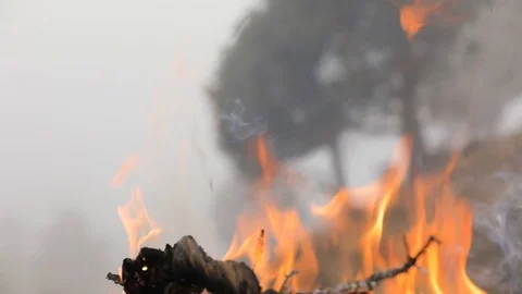 Fire flame. Slow motion Stock Footage 102222484