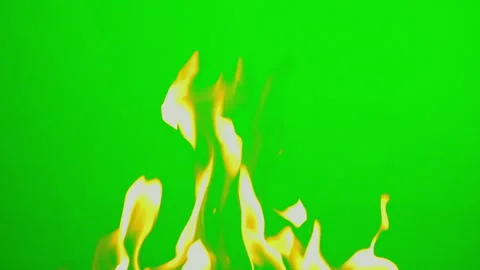 Fire flame slow motion on green screen background Vídeos de archivo 242204016