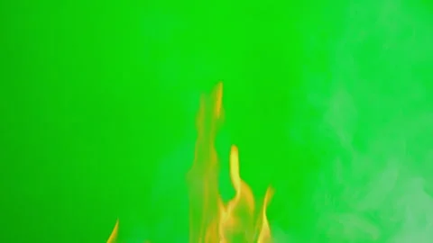 Fire flame slow motion on green screen background Stock Footage 242204070