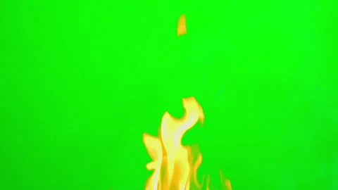 Fire flame slow motion on green screen background Stock Footage 242204183