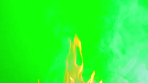 Fire flame slow motion on green screen background Stock Footage 242204192