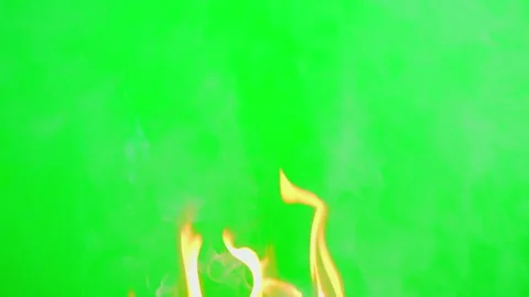 Fire flame slow motion on green screen background Vídeos de archivo 242204271