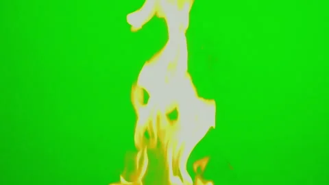 Fire flame slow motion on green screen background Stock Footage 242204316