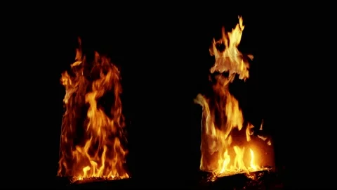 Fire flame in super slow motion isolated on black background, shooting in 4K. Stock Footage 113263388