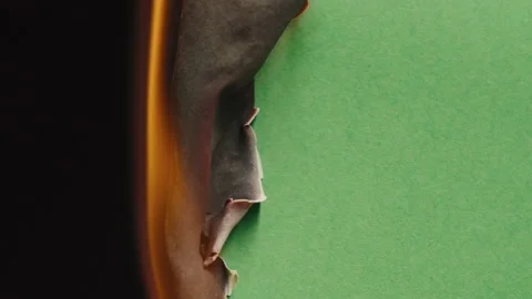 Fire flame texture close-up. Burning green paper on black chroma key background Stock Footage 200040196