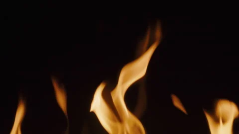 Fire flame texture close-up. Burning on black background. Stock Footage 200906814