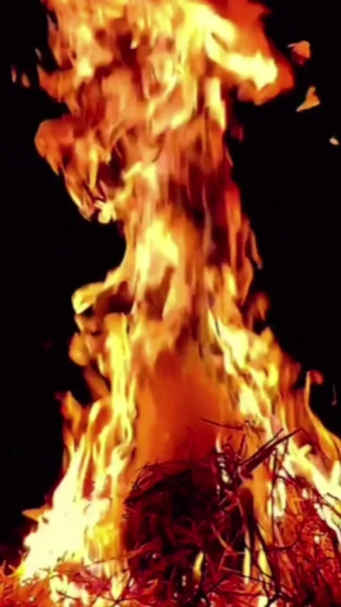 Fire Flame Vertical Campfire Burning Light Stockbeeldmateriaal 346500967