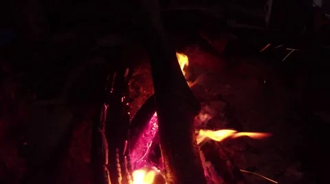 Fire Flames Absorbing a Tree in the Darkness Stock Footage 63949437