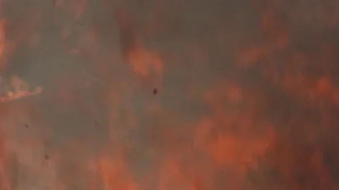 Fire flames and ashes against blue sky in  slowmotion Vídeos de archivo 75780754