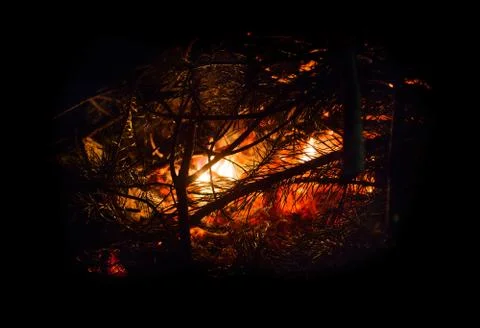 Fire flames and background Stock Photos