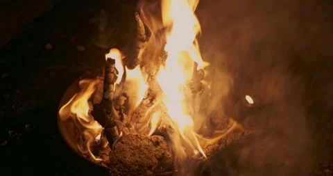 Fire, flames, and burning charcoal Stock Footage 236164901
