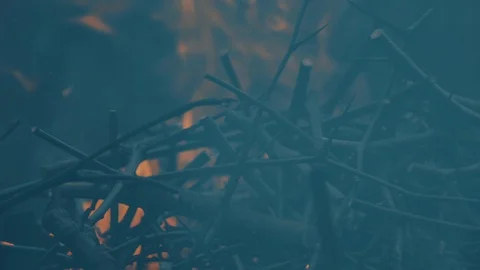 Fire flames and smoke in campfire Stockbeeldmateriaal 129243030