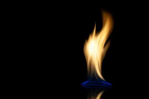 The fire. Flames are burning isolated on a black background. Stock Photos