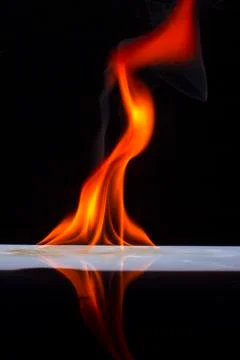 Fire flames on a  background Stock Photos