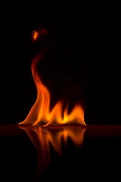 Fire flames on a  background Stock Photos