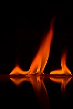 Fire flames on a  background Stock Photos