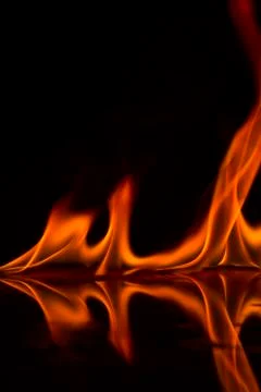 Fire flames on a  background Stock Photos