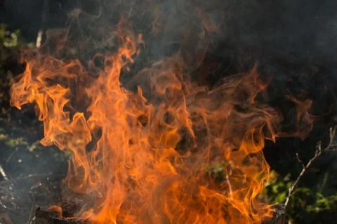 Fire flames background Stock Photos