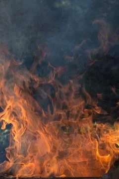 Fire flames background Stock Photos
