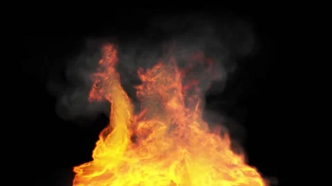 Fire flames on black background 3d render Stock Footage 164883170