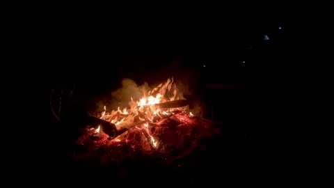 Fire flames on black background, air pollution. fireplace Stock Footage 264603837