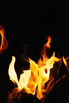 Fire flames on black background. Blaze flames background. Stock Photos