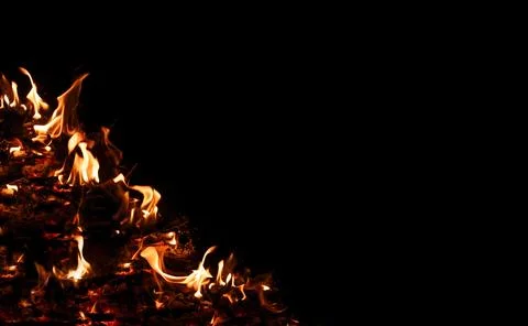 Fire flames on black background. Blazing campfire isolated on dark background Stock Photos