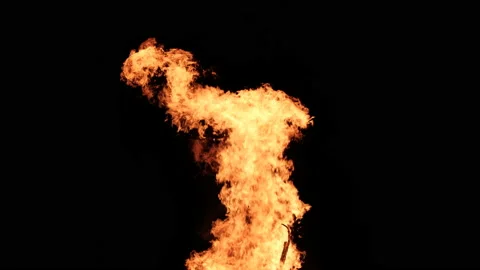 Fire Flames on a Black Background, Bonfire Burning at Night Stock Footage 155547870