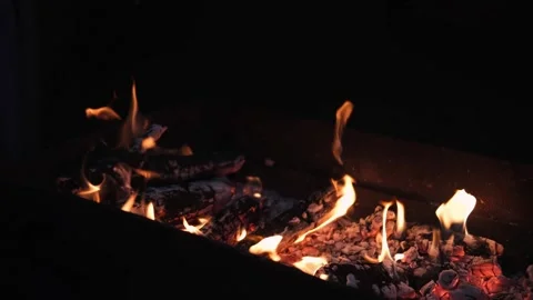 Fire flames on a black background, bright fire. Bonfire with fire and coals Stock Footage 255391544