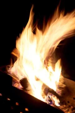 Fire flames on a black background. The fire burns on a black background. Stock Photos