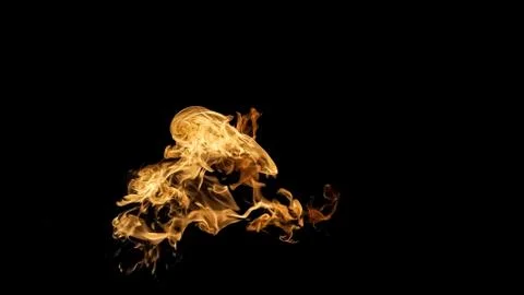 Fire flames on black background. fire on black background isolated. fire patt Stock Photos
