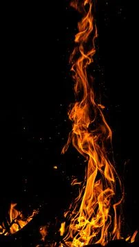 Fire flames on a black background. Fire lights on a black background Stock Photos
