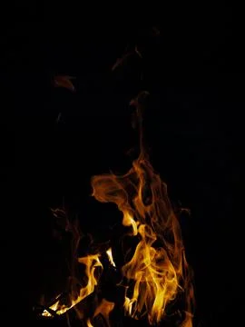 Fire flames on a black background. Fire lights on a black background Stock Photos
