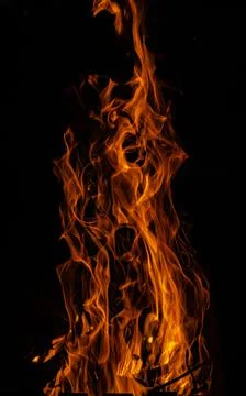 Fire flames on a black background. Fire lights on a black background Stock Photos