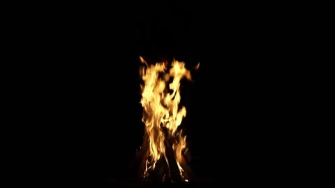 Fire flames on a black background. Flame border close up. Sparks from a campfire Stock Footage 199298525