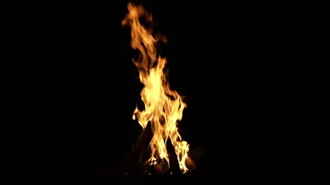 Fire flames on a black background. Flame border close up. Sparks from a campfire Stock Footage 199400762