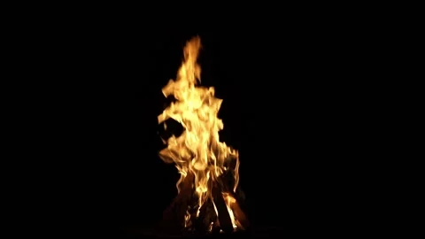 Fire flames on a black background. Flame border close up. Sparks from a campfire Stock Footage 199498441