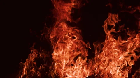 Fire flames on black background. Flames shapes. Bright flames fill the frame Stock Footage 341916776